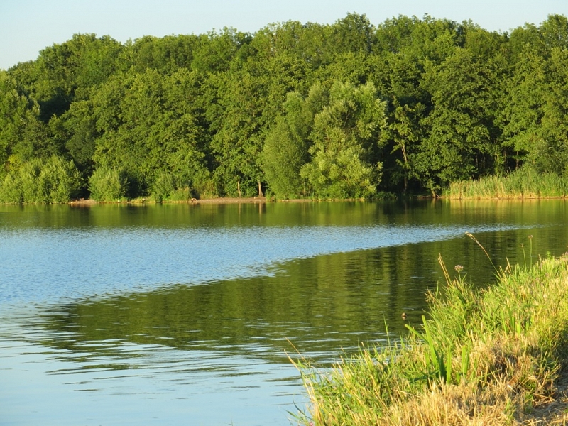 Wasserreservoir Rozkoš