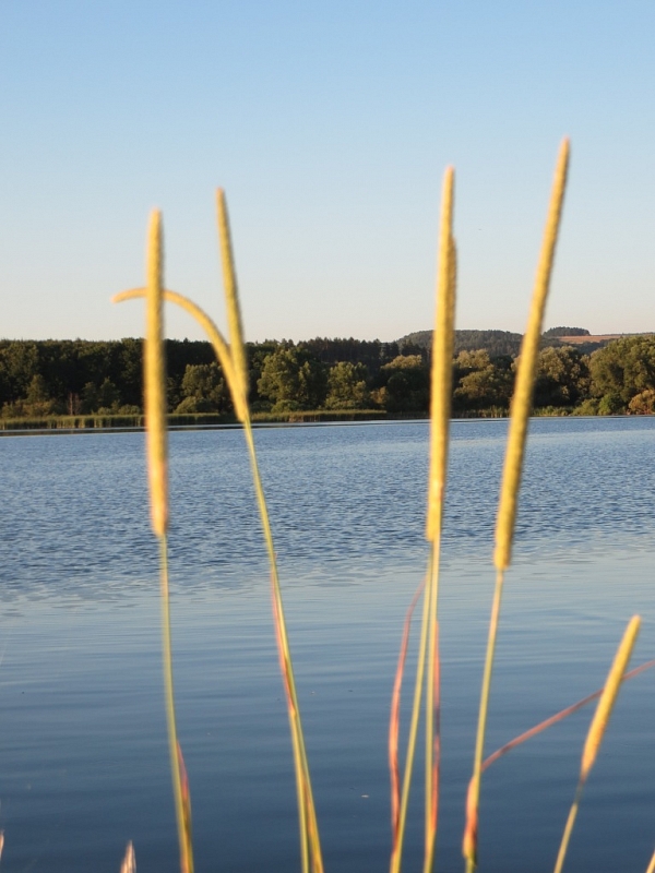 Wasserreservoir Rozkoš