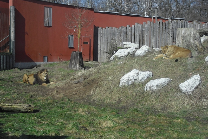 ZOO Hodonín