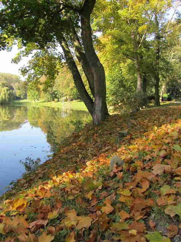 Ledce - forgotten spa