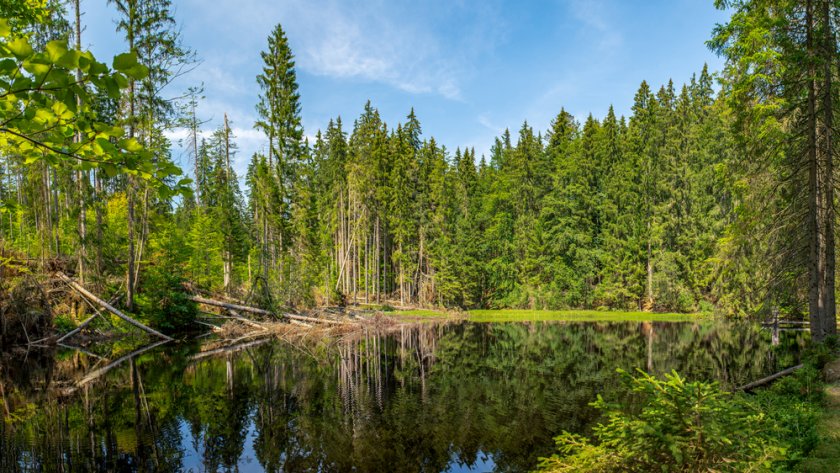 Boubín - Šumava