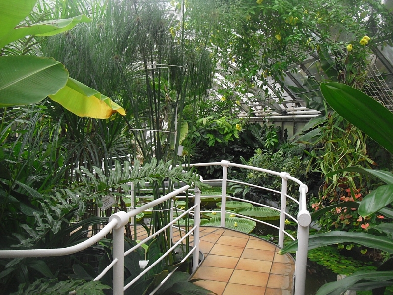 Brno Botanical Garden