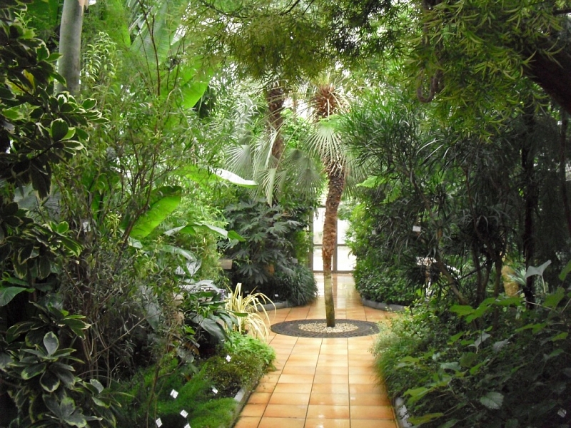 Brno Botanical Garden