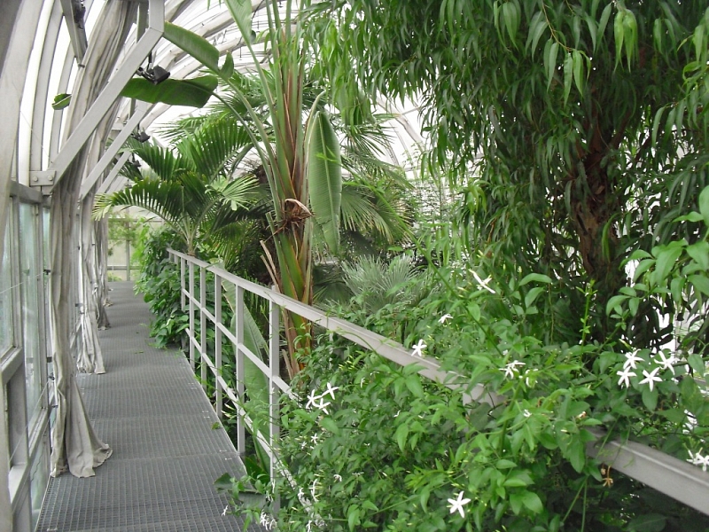 Brno Botanical Garden