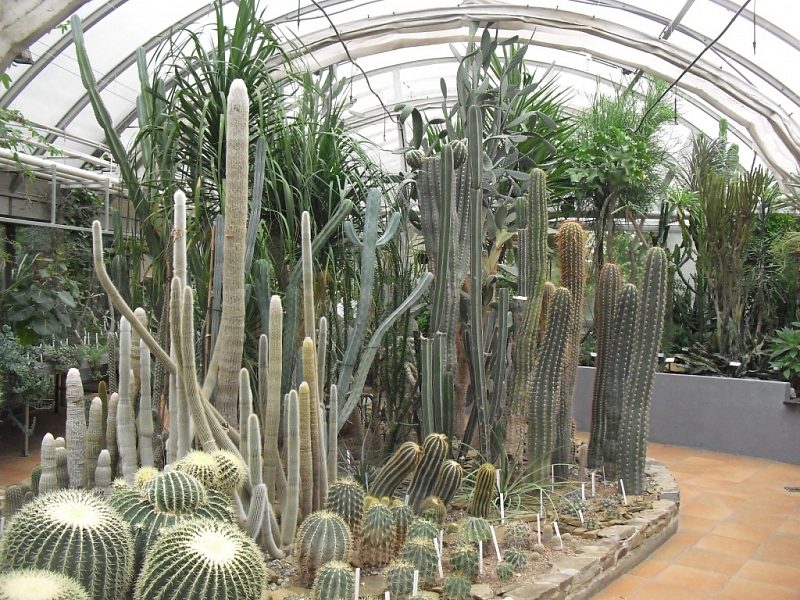 Brno Botanical Garden