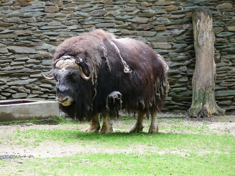 ZOO Liberec