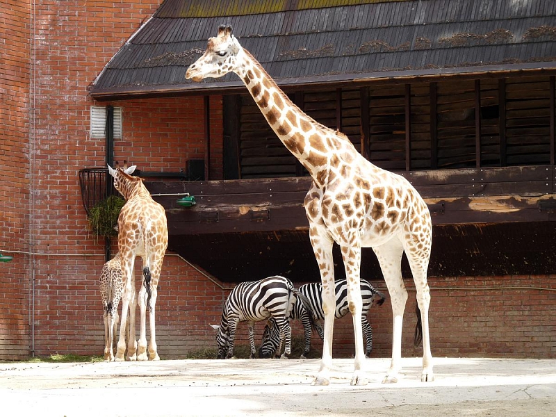 ZOO Liberec