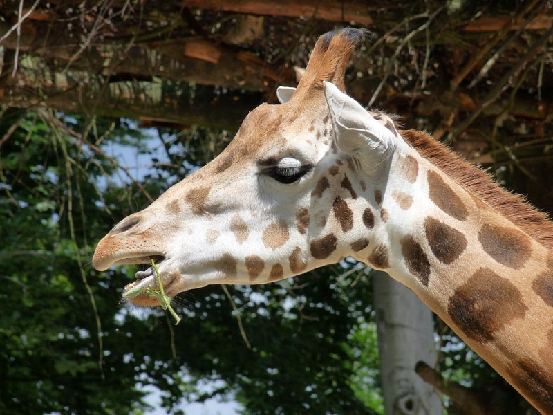 ZOO Liberec