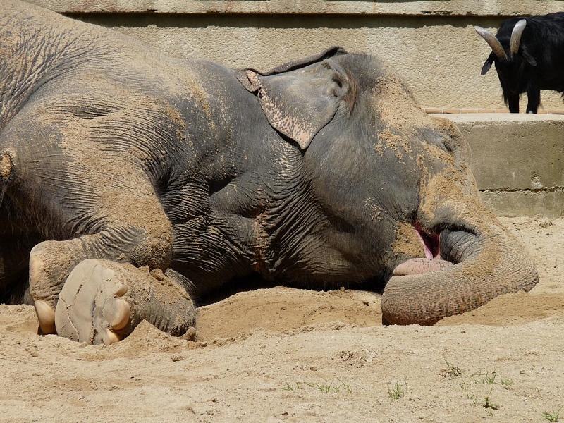 ZOO Liberec