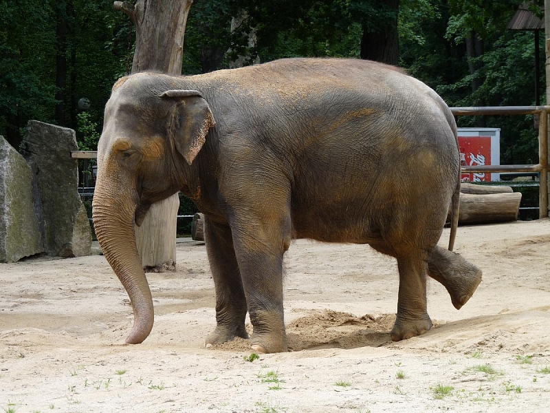 ZOO Liberec
