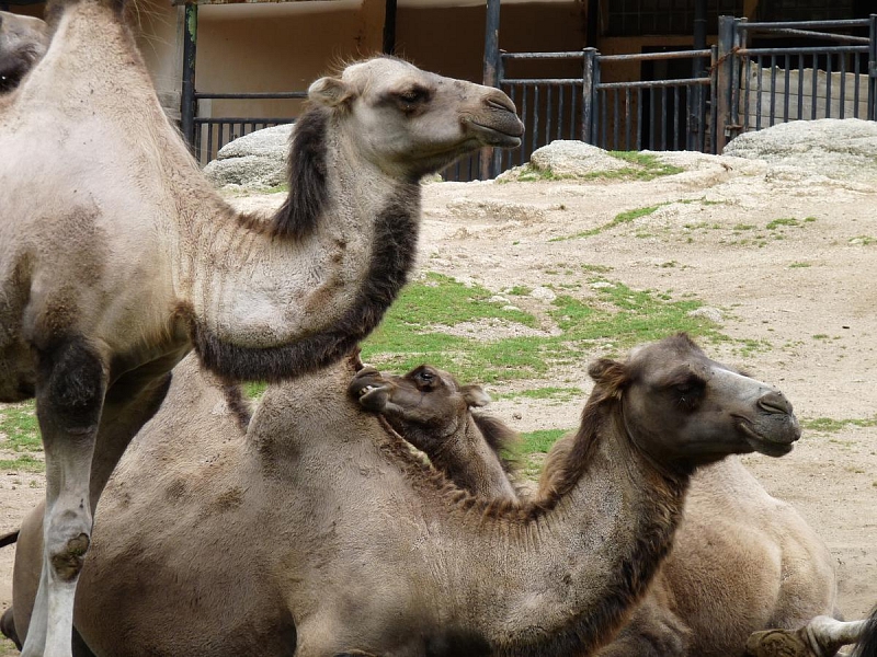ZOO Liberec