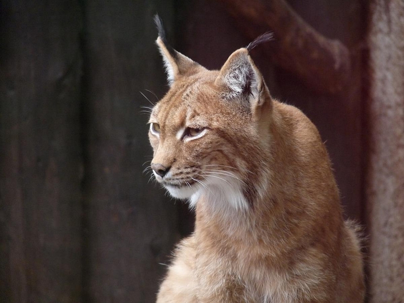 ZOO Liberec