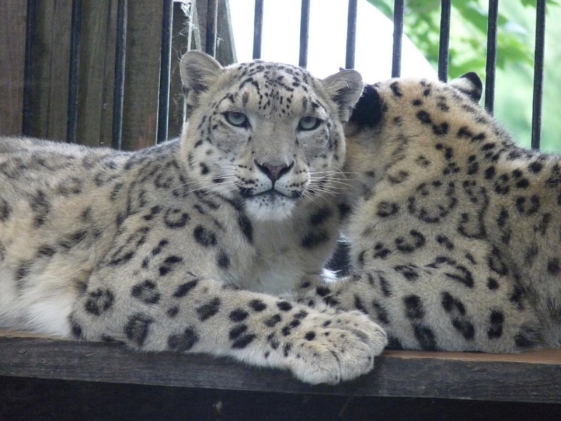ZOO Liberec
