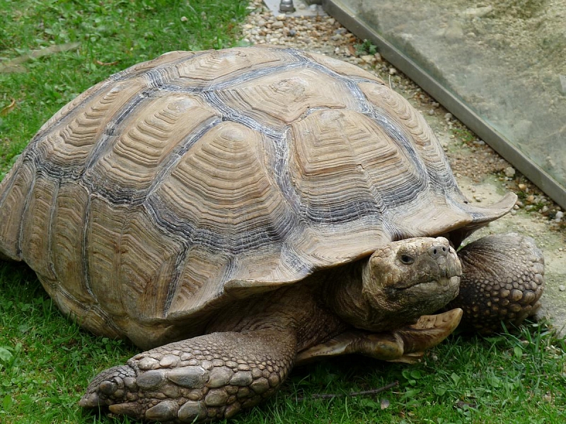 ZOO Liberec