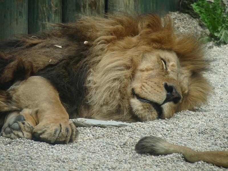 ZOO Liberec