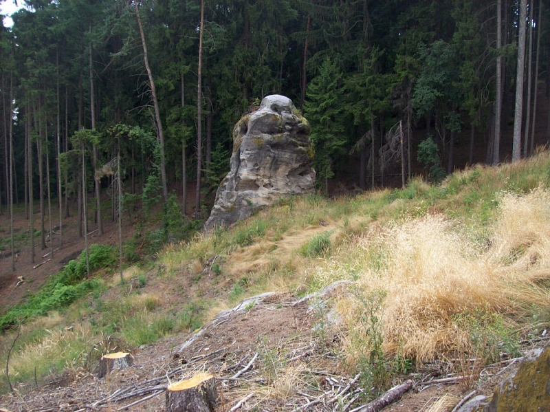 Přivýšina u Prachovských skal