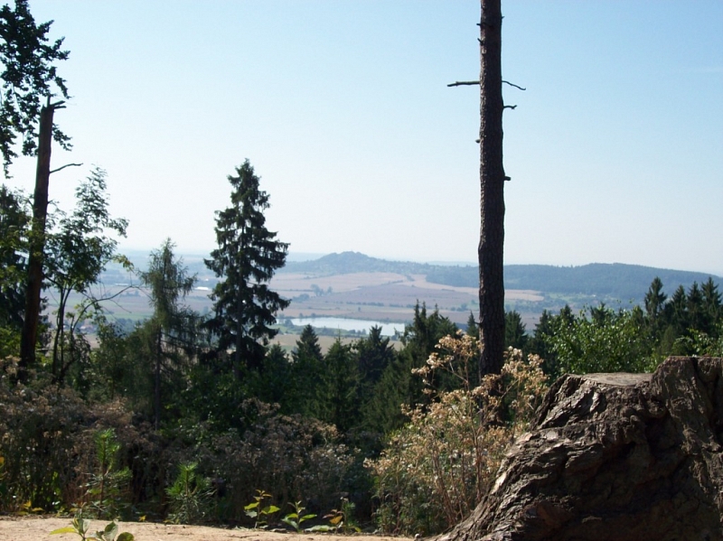 Přivýšina u Prachovských skal