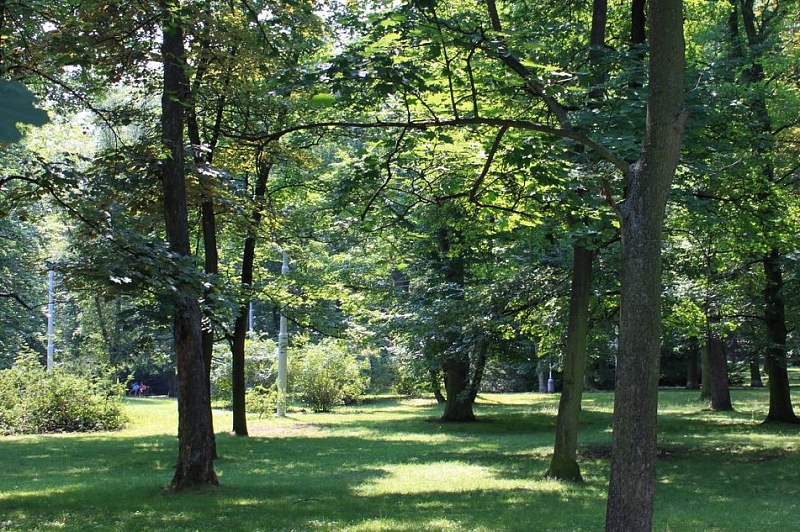 Stromovka Praha - královská obora