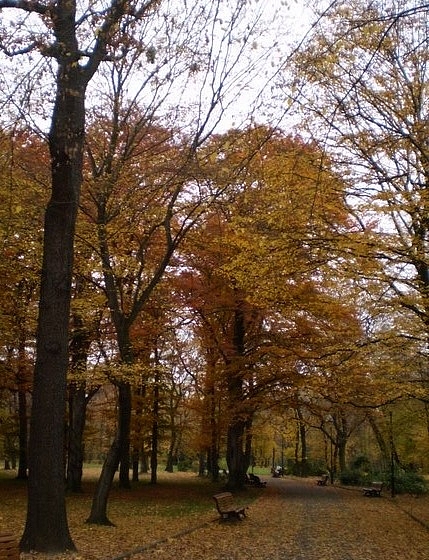 Stromovka Praha - královská obora