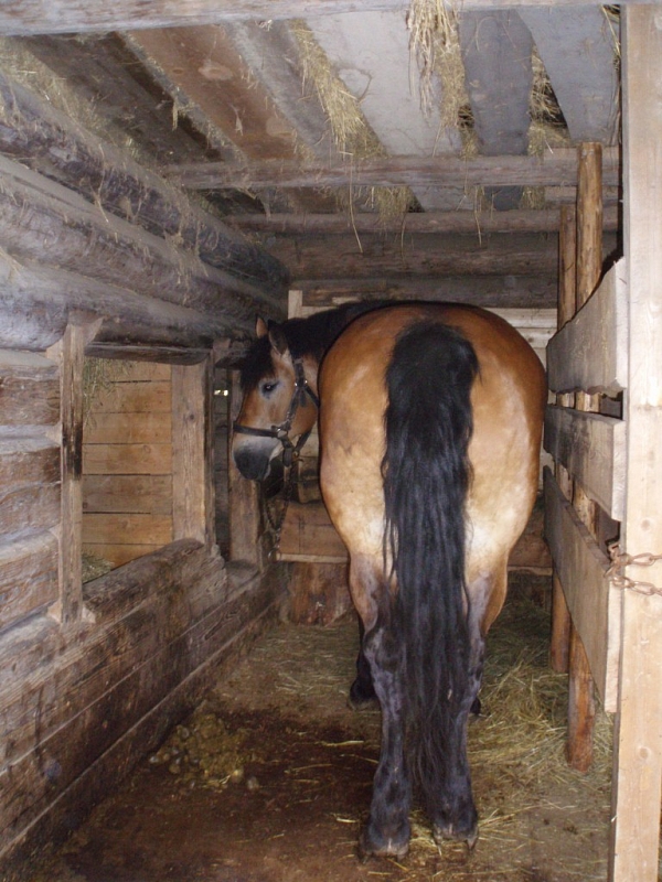 Rožnov pod Radhoštěm - skanzen