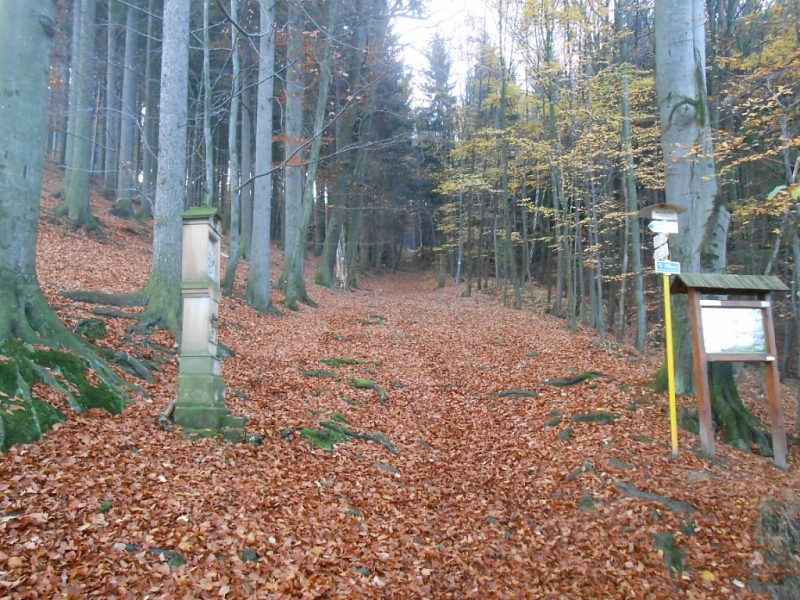 Malenisko - Marian pilgrimage site