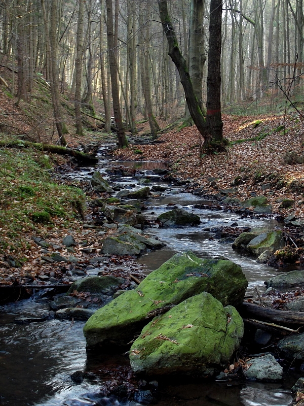 Jenčov (zřícenina)