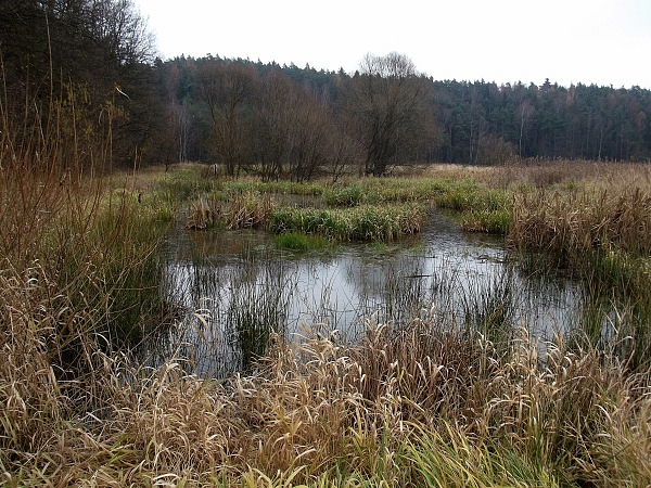 Drvotova Naturlehrpfad