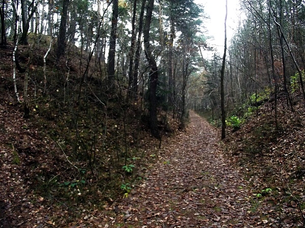 Drvotova Naturlehrpfad