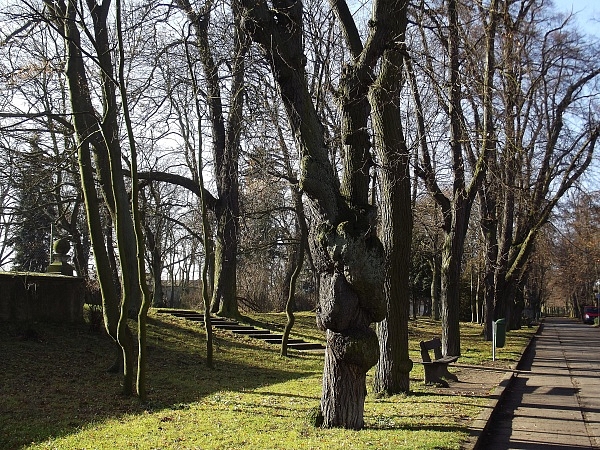 Smečno, město s dračí historií