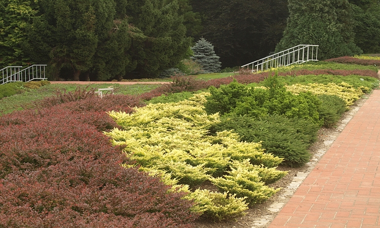 Botanická zahrada Olomouc