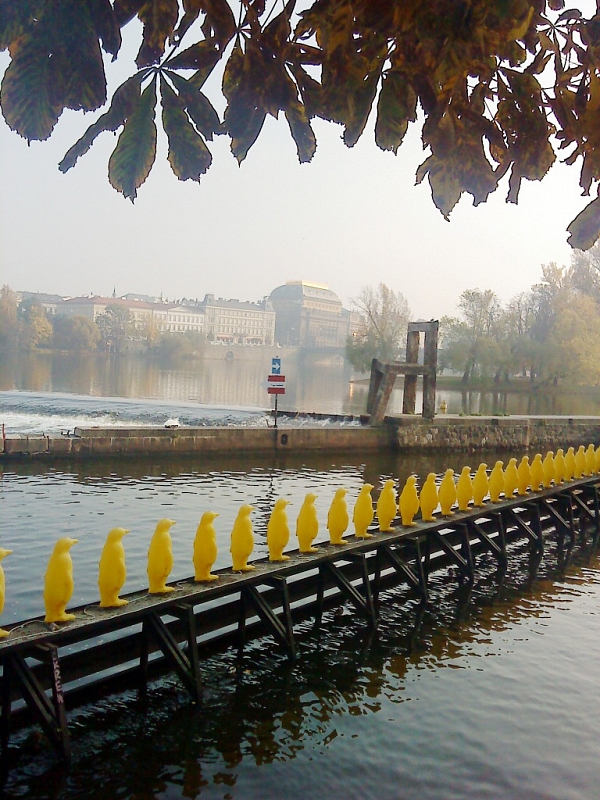 Kampa - umělý ostrov v centru Prahy