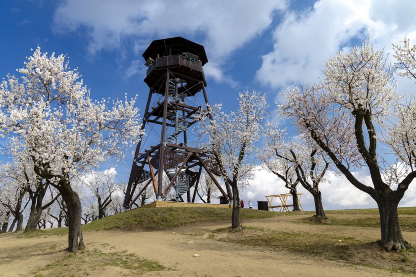 Hustopeče lookout tower