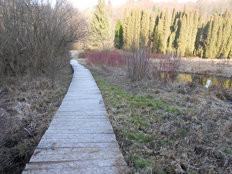 Arboretum Křtiny