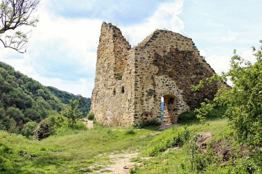 Burgruine Týřov