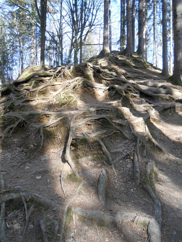 Rudické propadání a Kolíbky