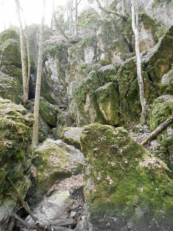 Rudické propadání a Kolíbky