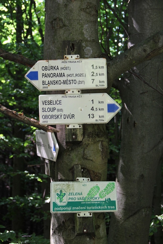 Podvrší lookout tower near Veselice