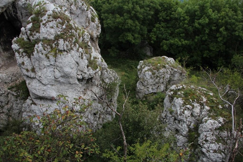 Die Ruinen der Burg Sirotčí Hrádek