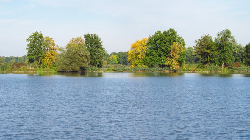 Poodří