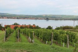 Vodní nádrž Nové Mlýny