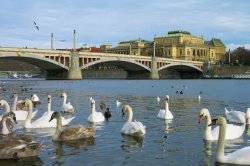 Chekhov Bridge Prague