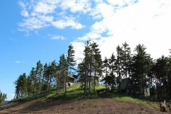 Plešivec Aussichtsturm in der Nähe von Abertam