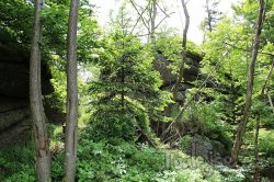 Jizera Mountains - mountains