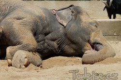 Jizera Mountains - mountains