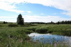 Ore Mountains - mountains