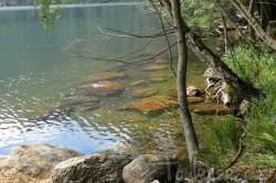 Šumava - pohoří