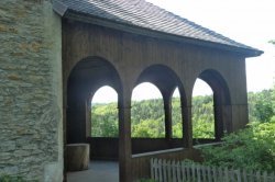 Rýzmburská džungle