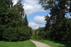 Tajuplný výlet do opuštěných lesů