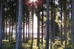 Cesta na rozhlednu Čerchov