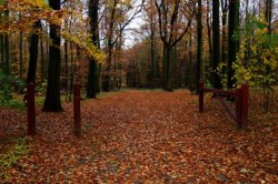 Procházka přírodním parkem Radeč